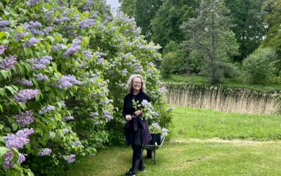 June 2025 Newsletter